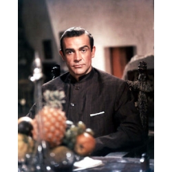 Dr No Sean Connery Photo